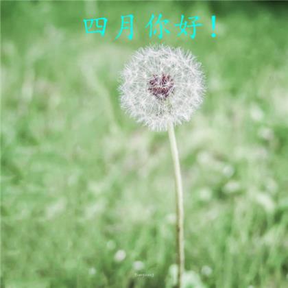 2024有关清明节精彩祝福语精选