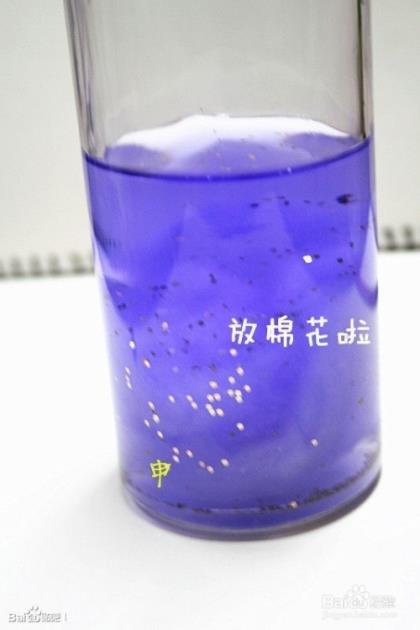 数字儿童拜年贺词