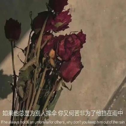 论语中有关孝敬的名言