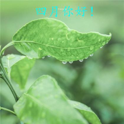 宝贝过生日朋友圈怎么发