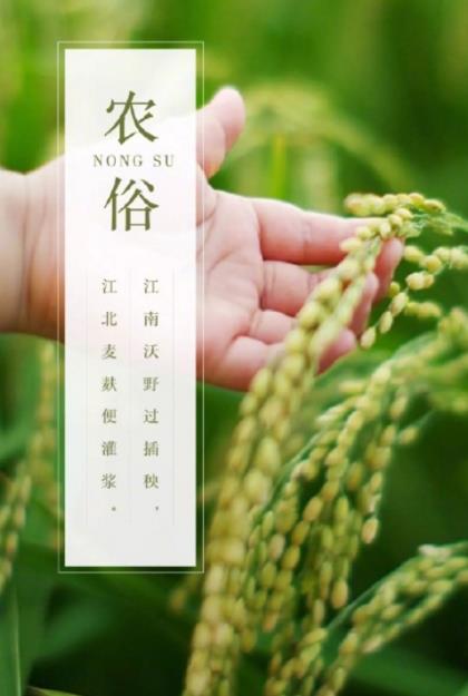 忧伤孤独的句子[20句] (表达孤独寂寞的句子)