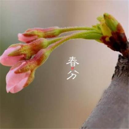 问候男朋友早安暖心句子（初四早安动态问候祝福语）