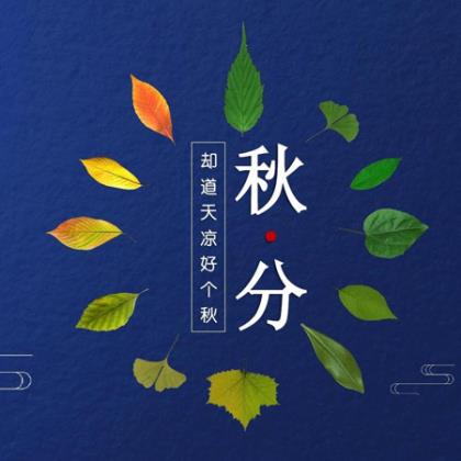 创文明标语