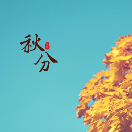 简短祝福语八个字