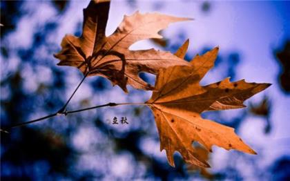 夸女生漂亮有内涵的话(夸女人漂亮的俏皮话)