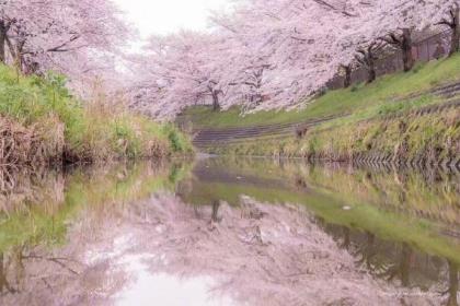 交通安全宣传标语集锦