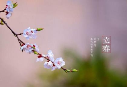 妈妈给女儿成长祝福语（送给闺女的成长寄语）