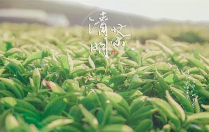 中秋节短信给领导