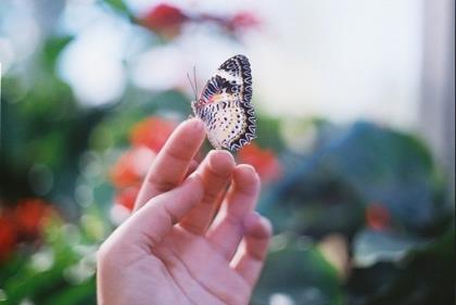 给老师拜年的祝福语