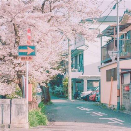 高速公路交通安全标语