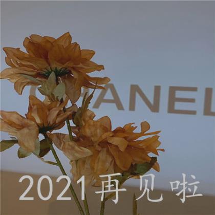 2024最新经典个性qq说说