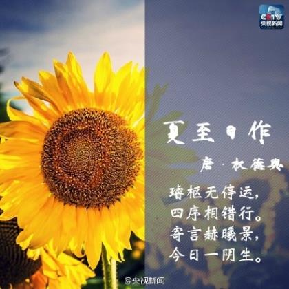 形容中秋节的月亮