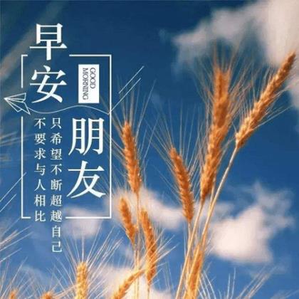 2024疫情防控口号标语条幅