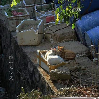 情侣新年祝福语大全