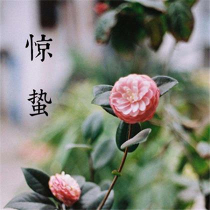 六一儿童节成人祝福语