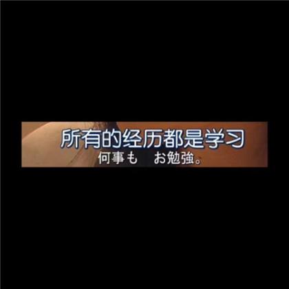 2023年爱情的句子经典语录