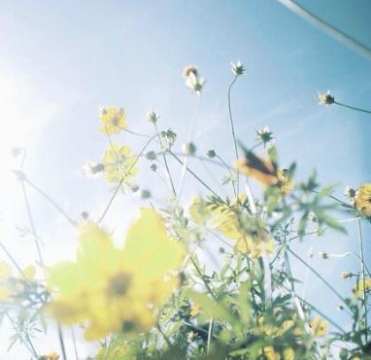 节日交通安全宣传标语