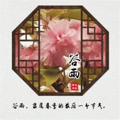 侄子结婚祝福语8个字