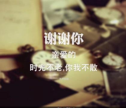 关于一见钟情的歌曲