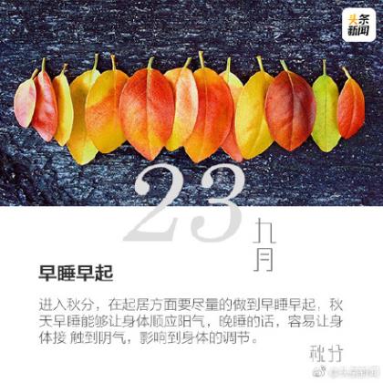 2024年周一正能量简单一句话