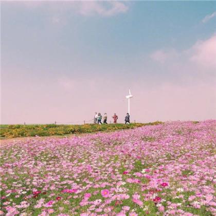 盛夏祝福语