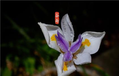 祝福宝宝健康成长的话