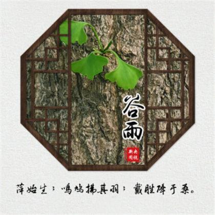 一造句大全一年级