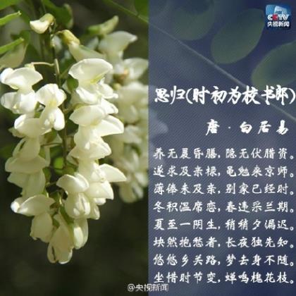 生日朋友圈怎么发幽默