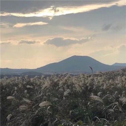 芳香造句大全