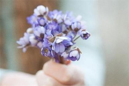 情人节送鲜花祝福语