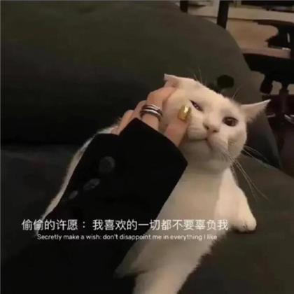 有关奉献的句子段落