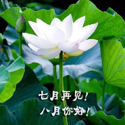 教师节祝福语简短30字