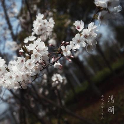 浪漫爱情句子大全(风景爱情浪漫的句子)