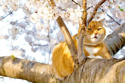 建筑宣传标语大全